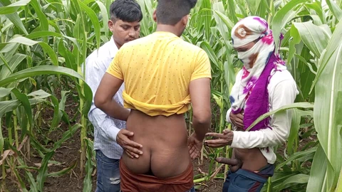 Shemale Pooja and her boyfriends take a new friend to the cornfield for a steamy threesome